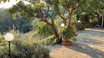 Cottage, Berbilang Katil | Kawasan hartanah