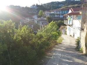 A narrow, paved road flanked by greenery and buildings with red-tiled roofs.