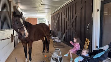 Una stalla con un cavallo, un bambino in passeggino e un bambino seduto su una panchina.