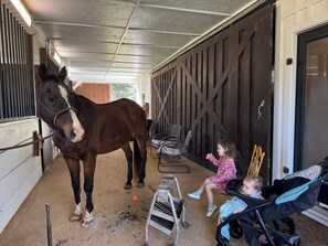 A stable with a horse, a child in a stroller, and a child sitting on a bench. - Little Lob Lolly of Point Clear located in our barn across from our stalls  (Fairhope)