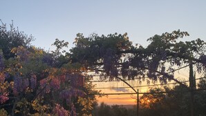 Una piscina con vista sul tramonto, circondata da una recinzione e da una vegetazione rigogliosa.