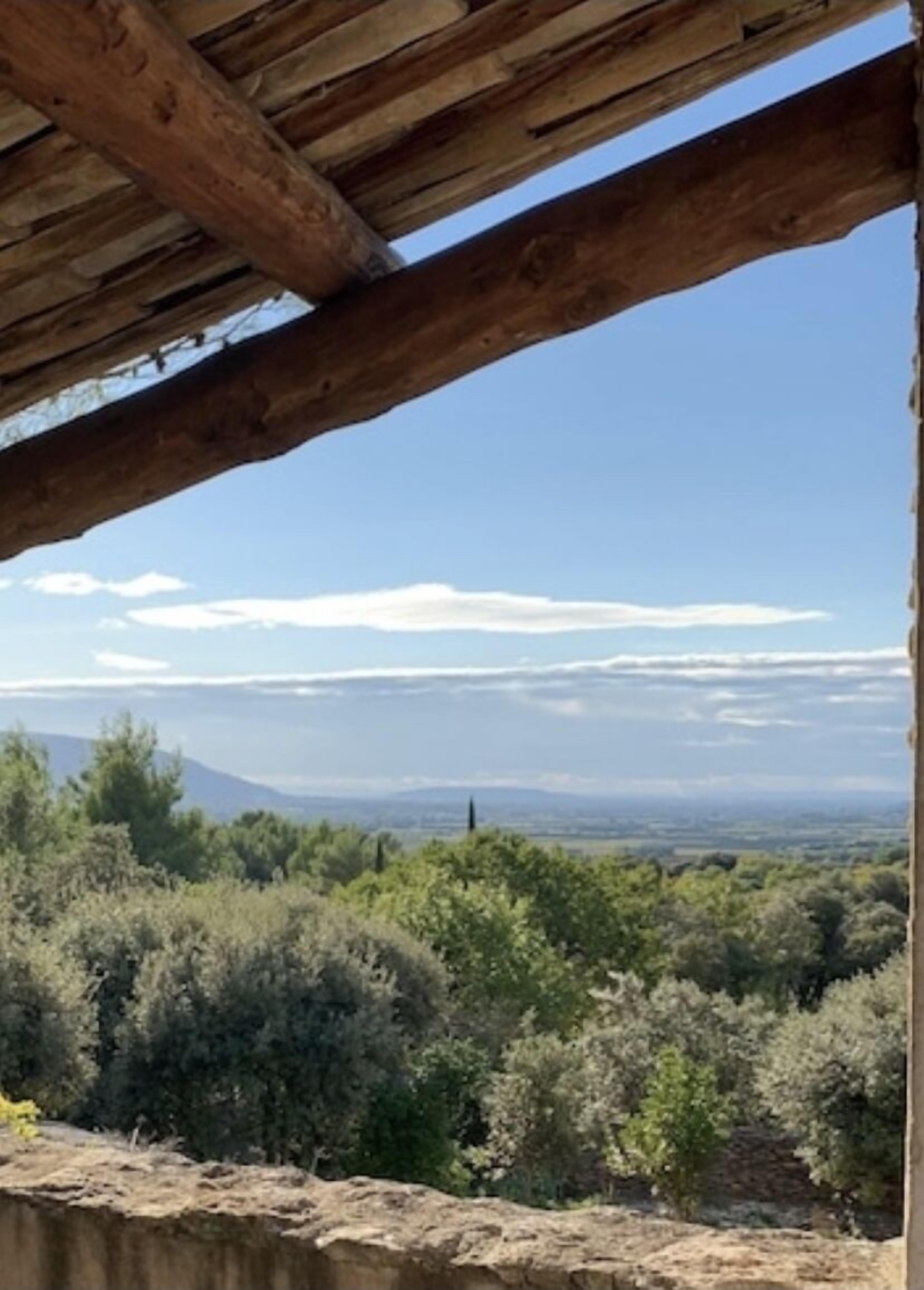 Une structure de plafond en bois offrant une vue sur un paysage montagneux et une végétation luxuriante.