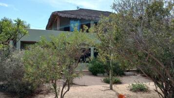Un edificio con techo de paja y un patio de arena rodeado de diversas plantas.