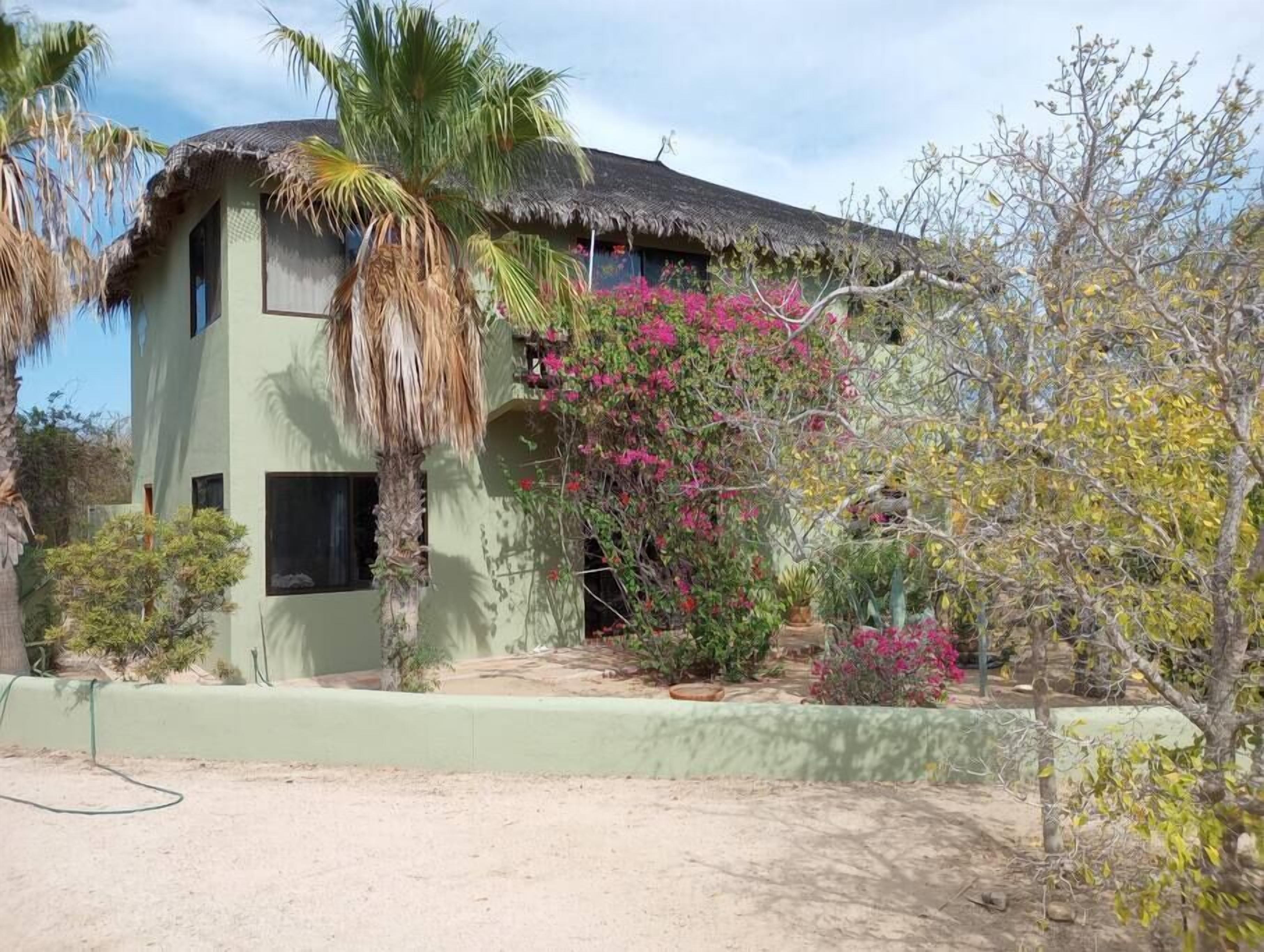 A single-story building with a thatched roof, surrounded by various plants and trees.