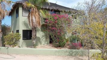 A single-story building with a thatched roof, surrounded by various plants and trees.