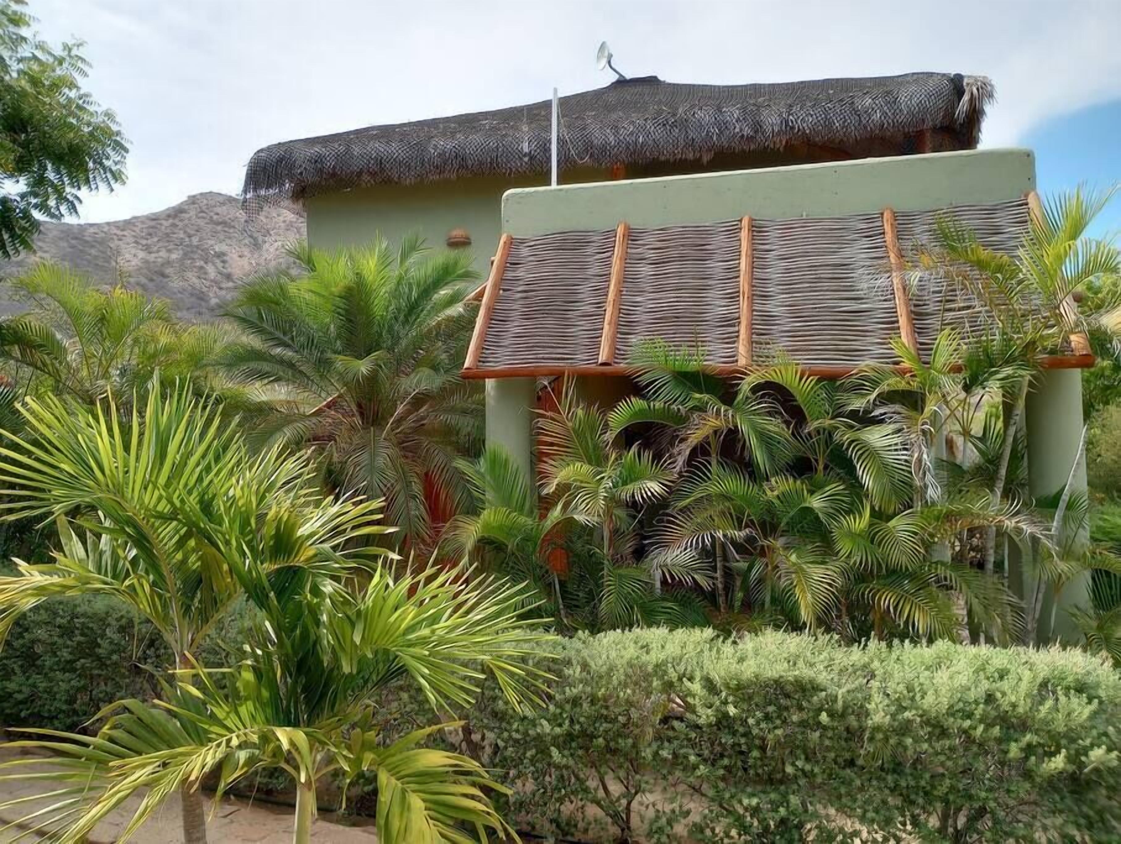 Un edificio con techo de paja y fachada verde, rodeado de exuberante vegetación tropical.