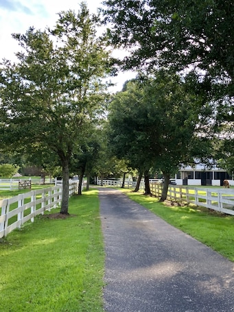 Property grounds. Lob Lolly Farm of Point Clear