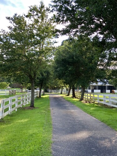 Lob Lolly Farm of Point Clear