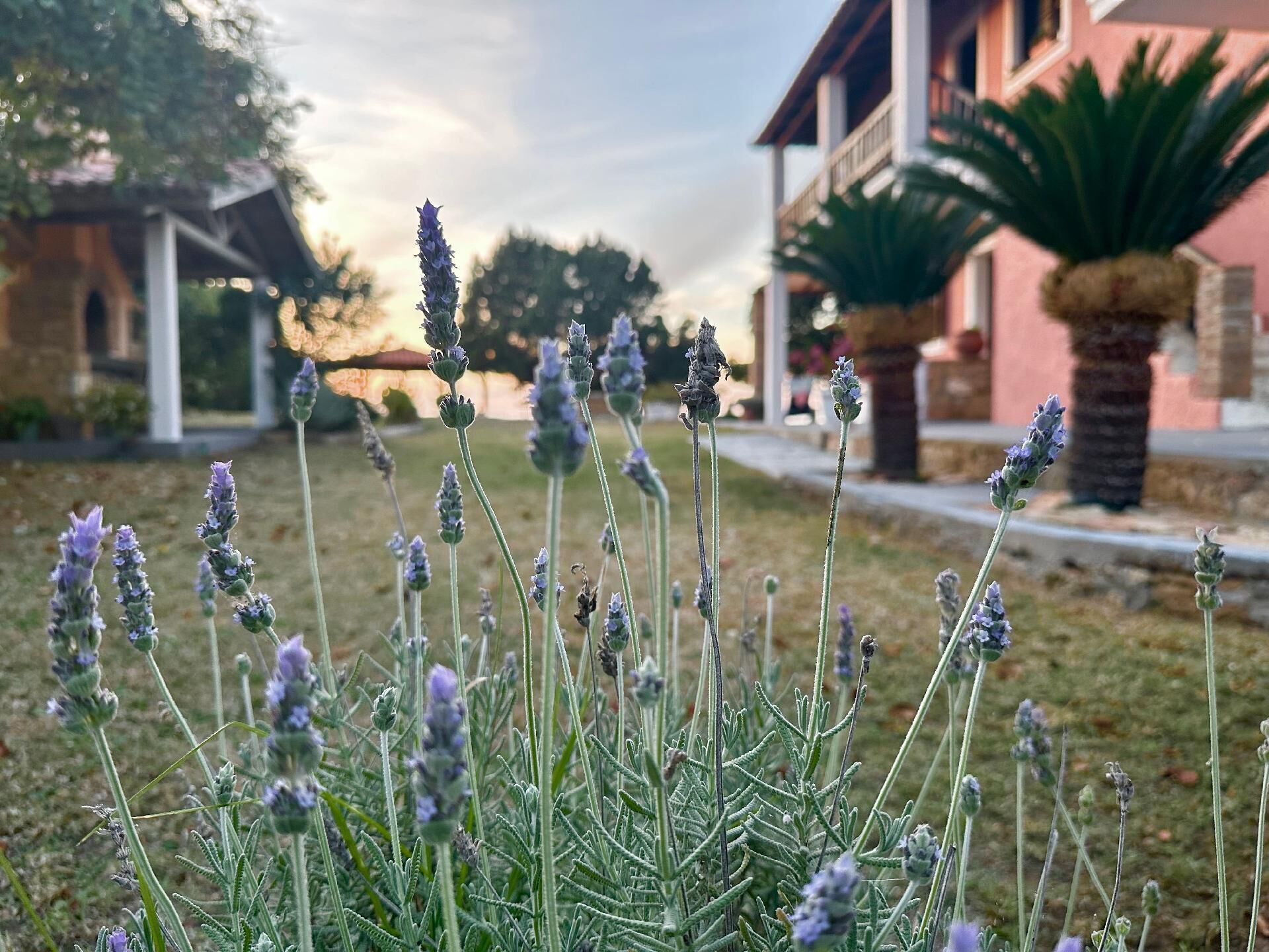 Áreas de la propiedad