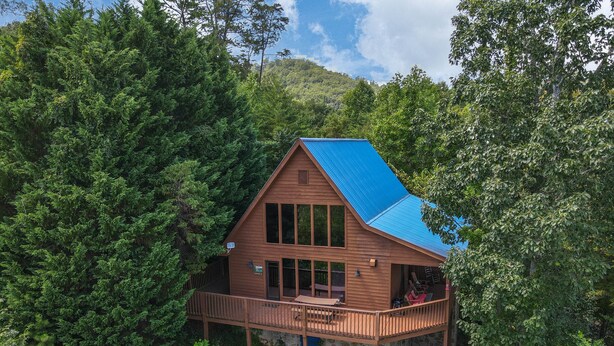 Uma cabana de madeira com telhado azul, rodeada por uma floresta densa.