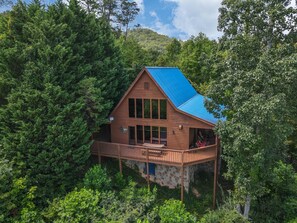 Eine Holzhütte mit blauem Dach, umgeben von dichtem Wald.