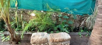 Entire house for rent in El Cuyo