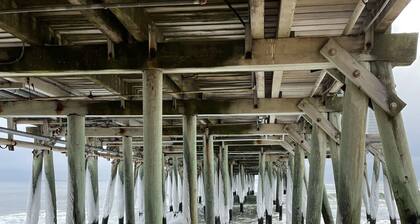 Seashell Cottages/JK Rentals - The Morgan Unit with 1 QB & Futon