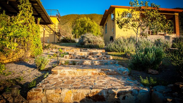 A stone staircase leading to a yellow building with a red roof, surrounded by greenery and a clear blue sky.