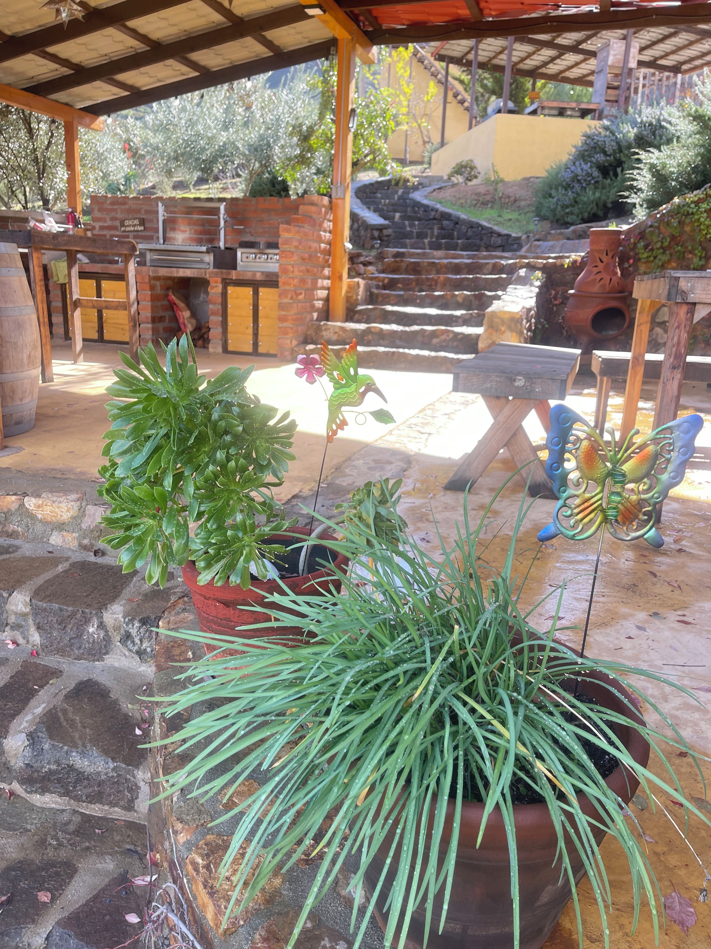 Un patio al aire libre con plantas en macetas, una chimenea de ladrillo y una pérgola de madera.