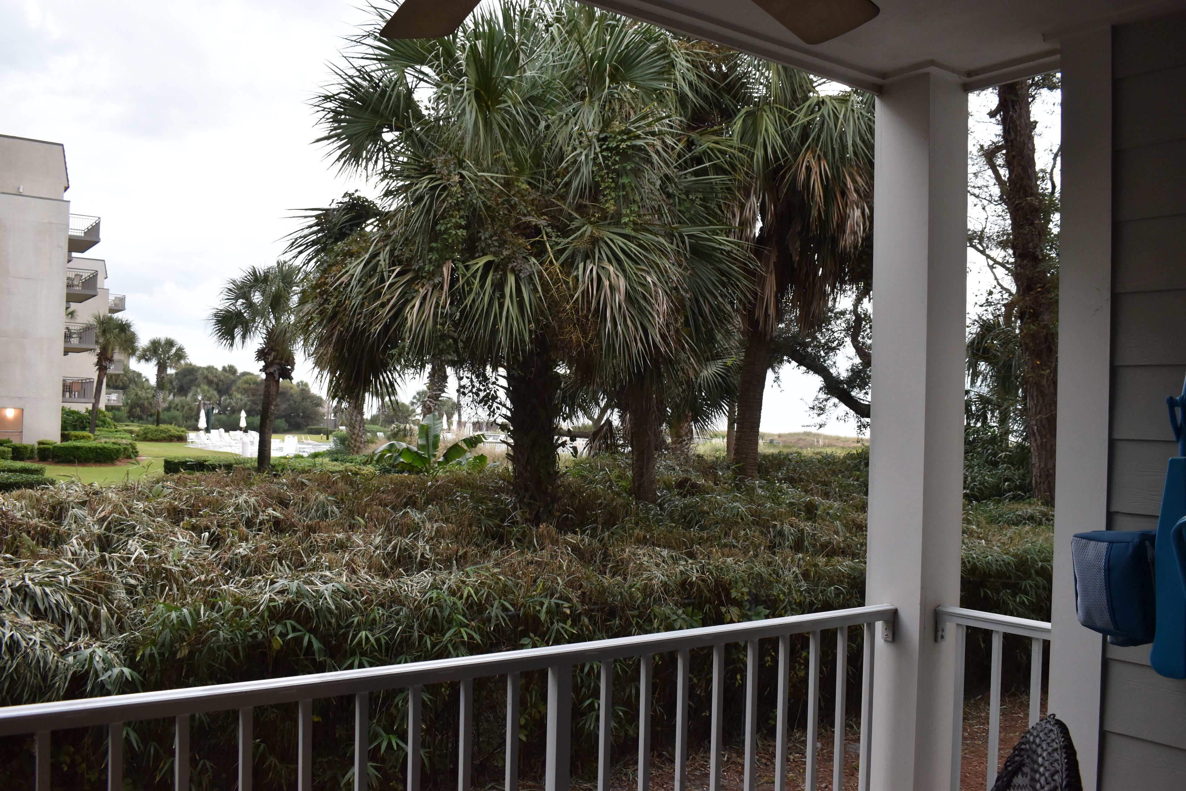A balcony with a view of a landscaped garden, including palm trees and shrubs.