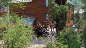 Une cabane en bois entourée d’une forêt dense.
