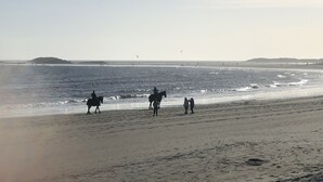 Una playa con arena dorada y un mar tranquilo.