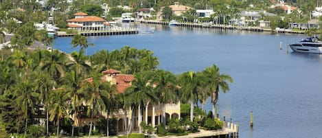 A marina with boats, a dock, and a building surrounded by palm trees.
