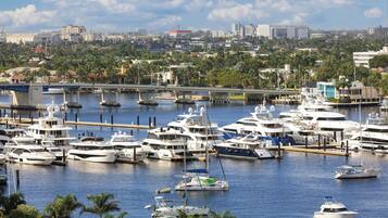 A marina with multiple yachts docked, surrounded by palm trees and buildings in the background.