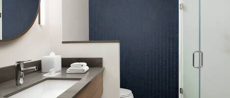 A modern bathroom with a large sink, a toilet, and a glass shower enclosure.