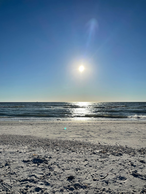 On the beach, sun loungers, beach towels - Beachfront Oasis: Walk to the waves! (Marco Island)