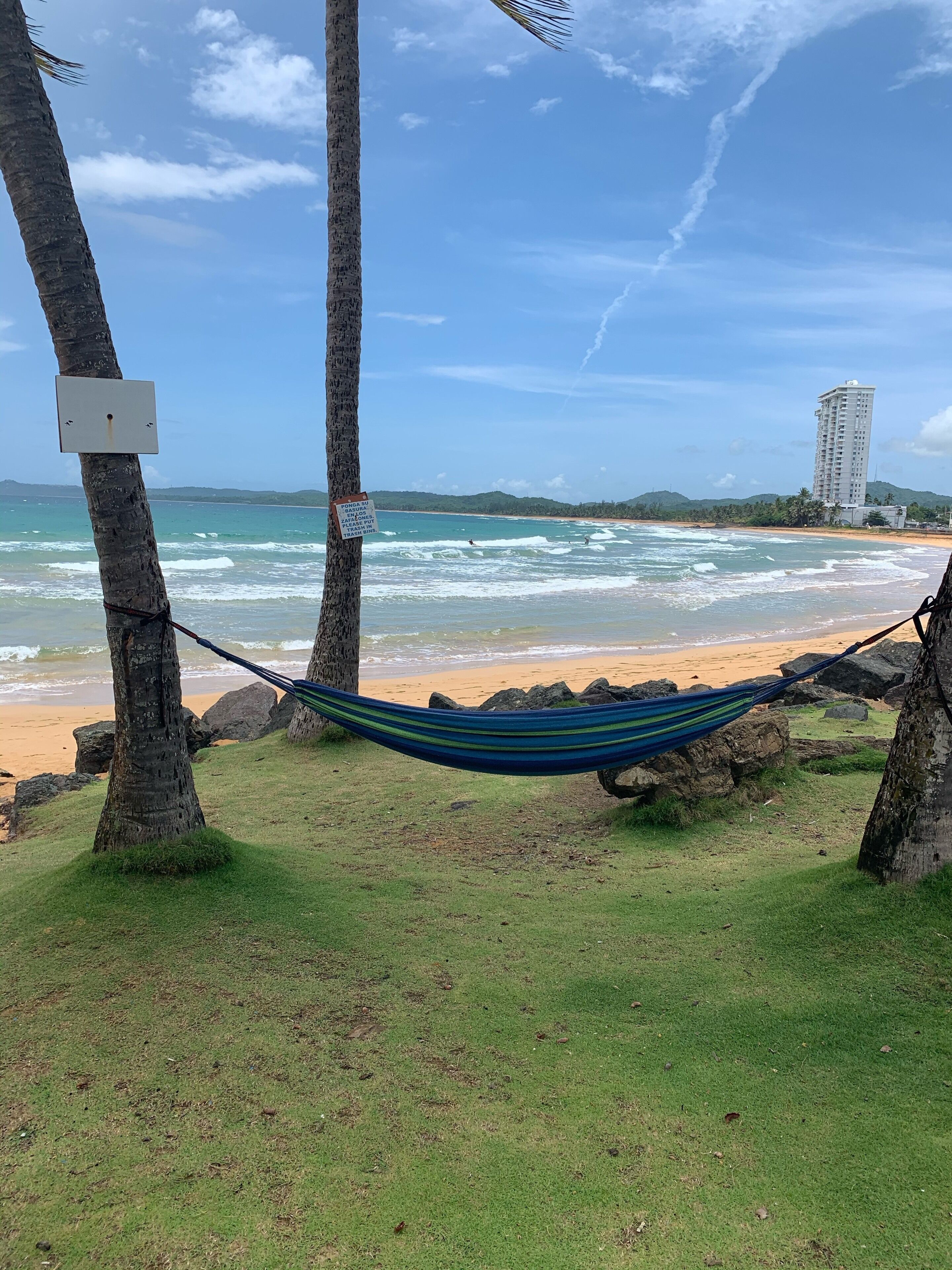 A hammock tied between palm trees overlooking a beach with waves and a distant building.