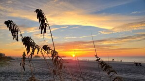 A beach with a sunset, featuring tall grasses in the foreground and a pier in the background. - Direct Oceanfront 3 bedroom 2.5 baths Pelicans Watch unit on popular Shore Drive (Myrtle Beach)
