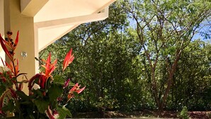 A poolside area with lounge chairs, a table with fruit and drinks, and a vase of flowers.