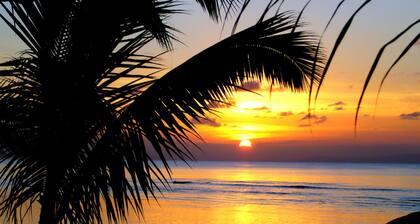 Apartment Melissa97 - Bùt1 Détente in Dzamandzar Nosy-Be