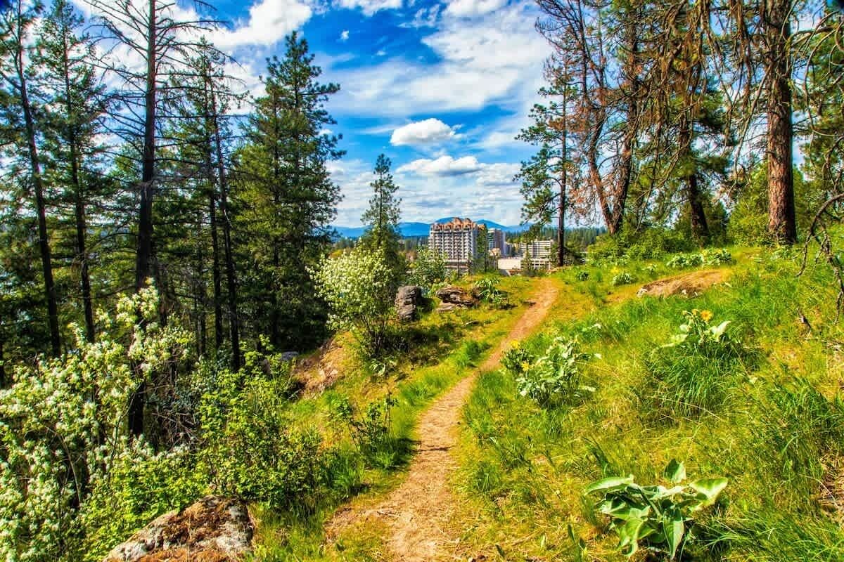 Ein bewaldetes Gebiet mit einem Feldweg, der zu einem mehrstöckigen Gebäude führt.