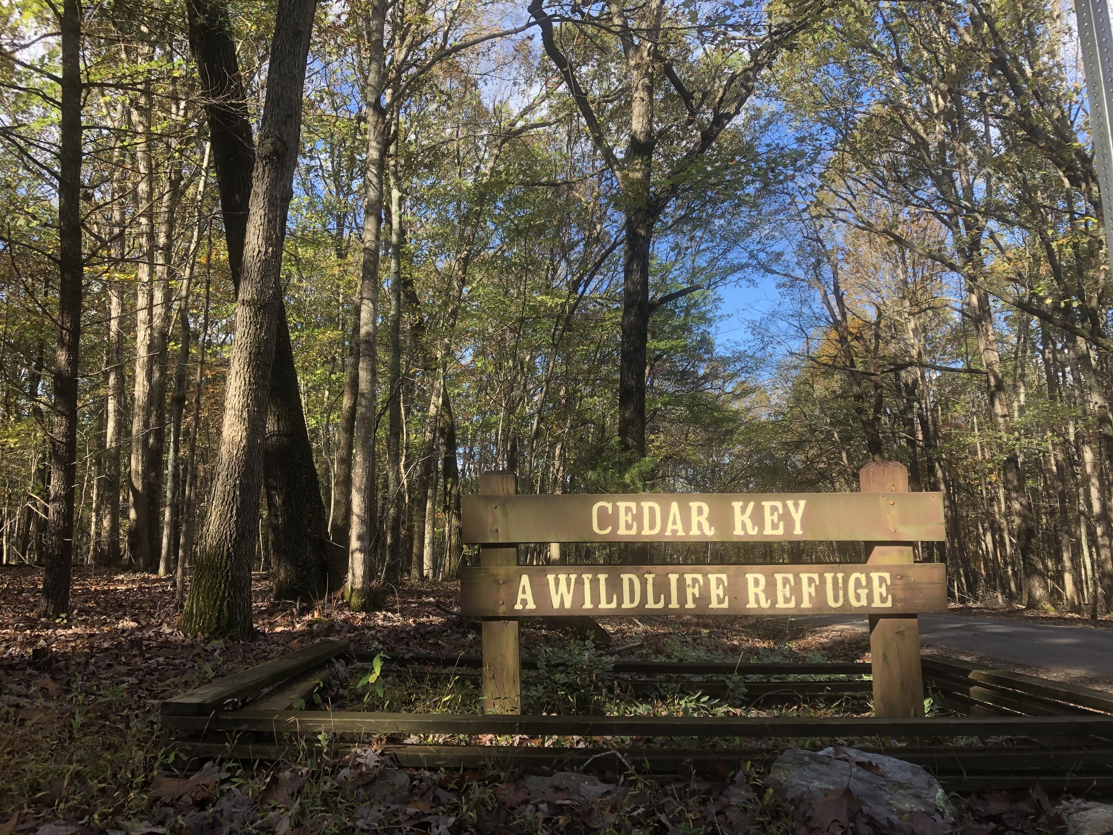 A wooden sign in a forested area reading "CEDAR KEY A WILDLIFE REFUGE".