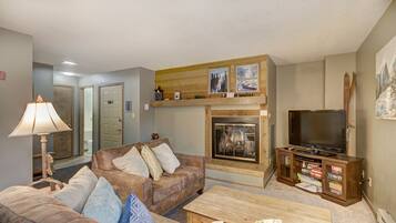 Televisión, chimenea y libros