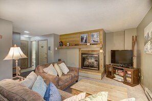 TV, fireplace, books