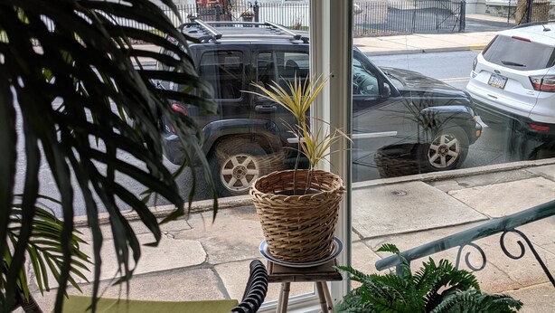 A view from a window with a wicker basket on a small table, a chair, and a potted plant.