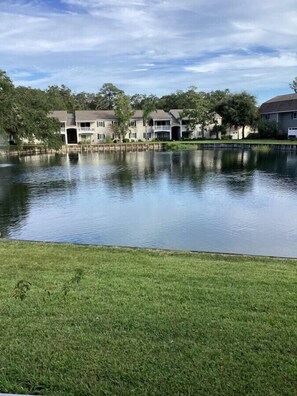 A tranquil residential area with a calm pond, surrounded by houses with a symmetrical layout and a well-maintained lawn. - E13 Build family memories,  comfortable, clean (St. Simons Island)