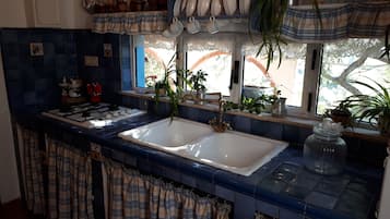 Fridge, oven, stovetop, coffee/tea maker