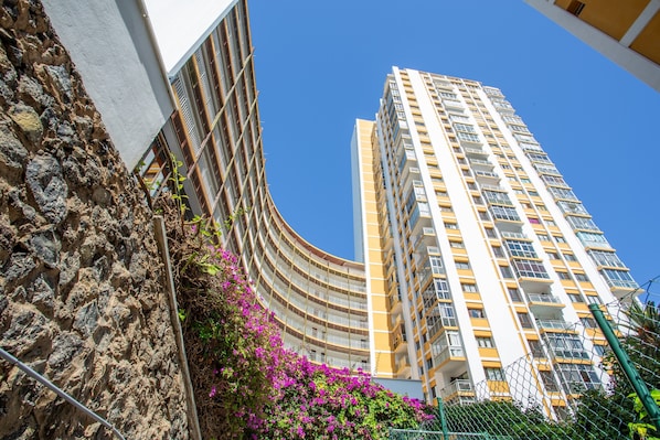 A tall building with balconies, a stone wall, and purple flowers.