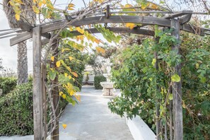 A wooden archway with a pathway leading to a garden area.