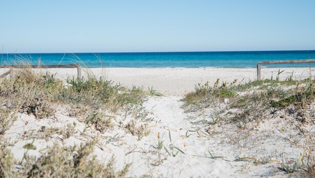 A beach path leading to the ocean with a clear sky. - Holiday Home “Home Residence Barbara” with Garden & Balcony (San Teodoro)