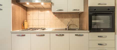 Fridge, oven, stovetop, cookware/dishes/utensils