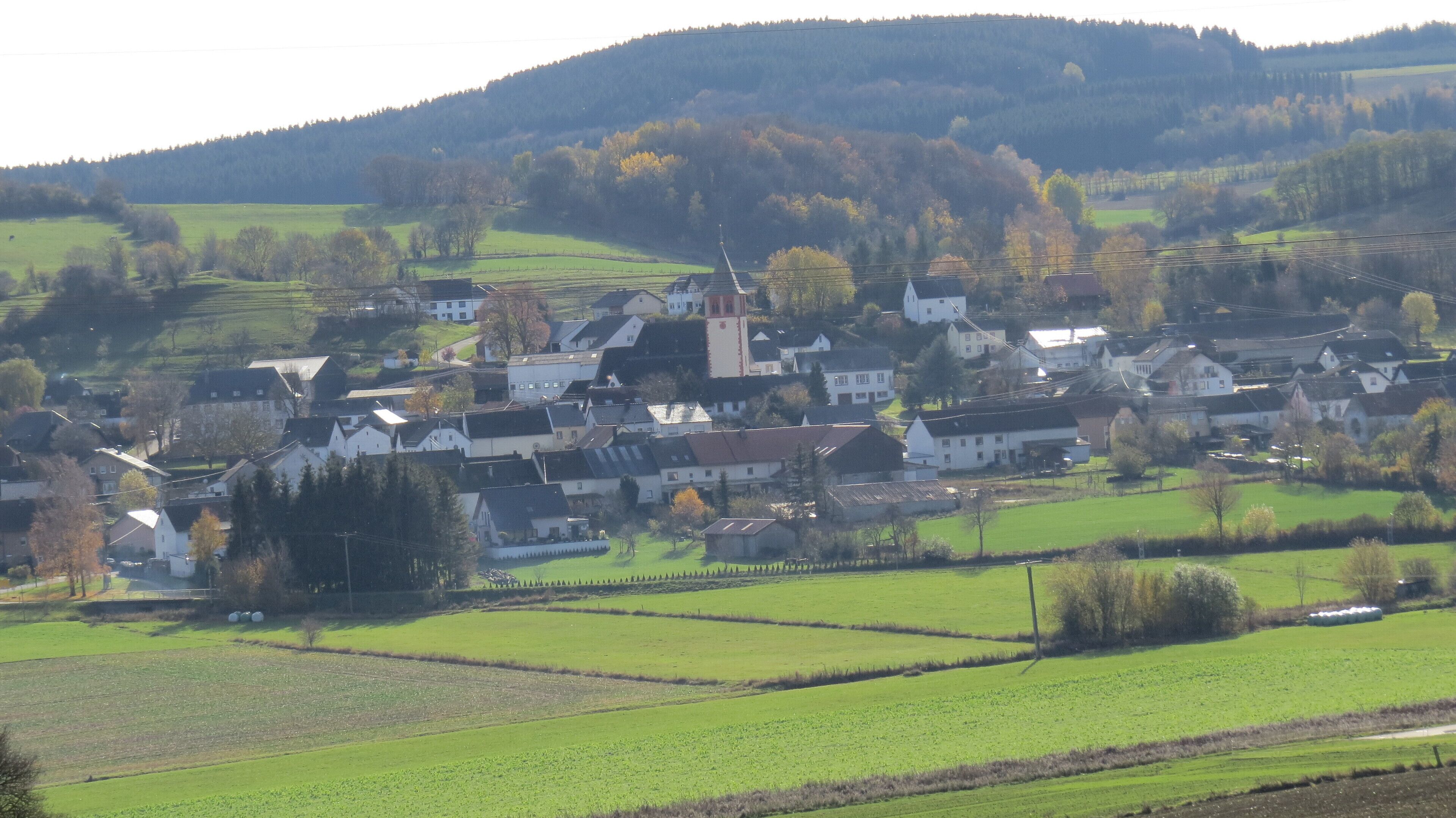 Un village rural avec des maisons, des champs et une colline en arrière-plan.