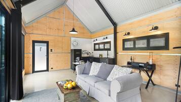 Smart TV, fireplace, books