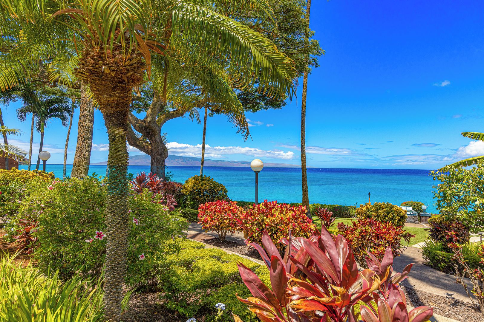 A tropical garden with a view of the ocean and a clear sky.