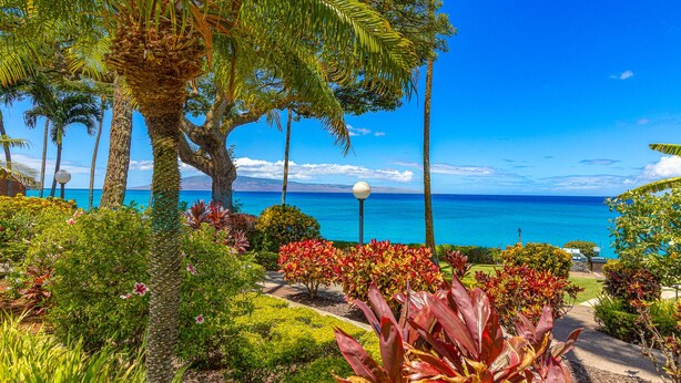 Ein tropischer Garten mit Blick auf das Meer und einen klaren Himmel.