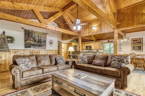 TV, fireplace, DVD player, books
