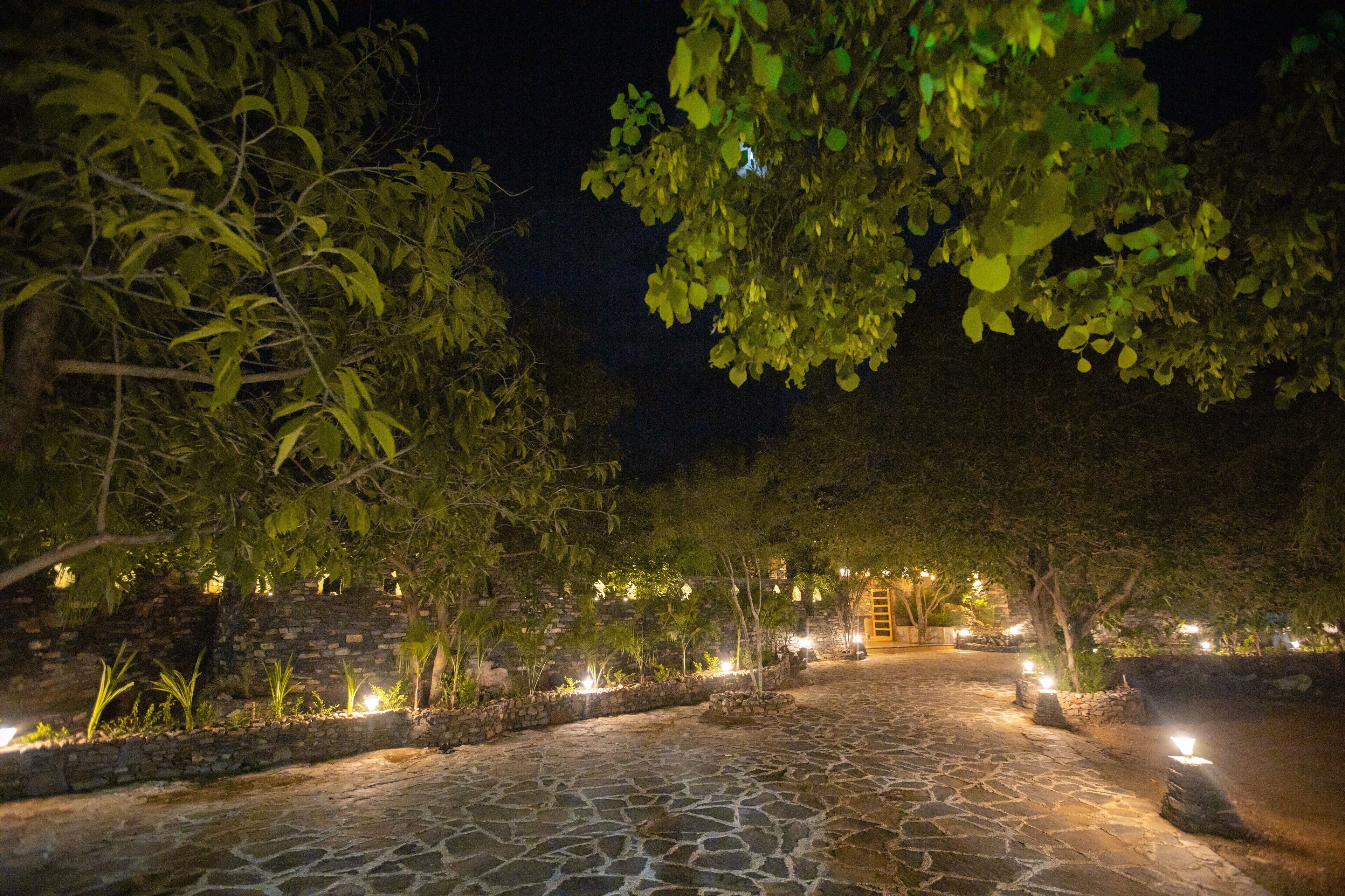 A stone pathway leading to a building with a wooden door, surrounded by trees and illuminated by ground lights.