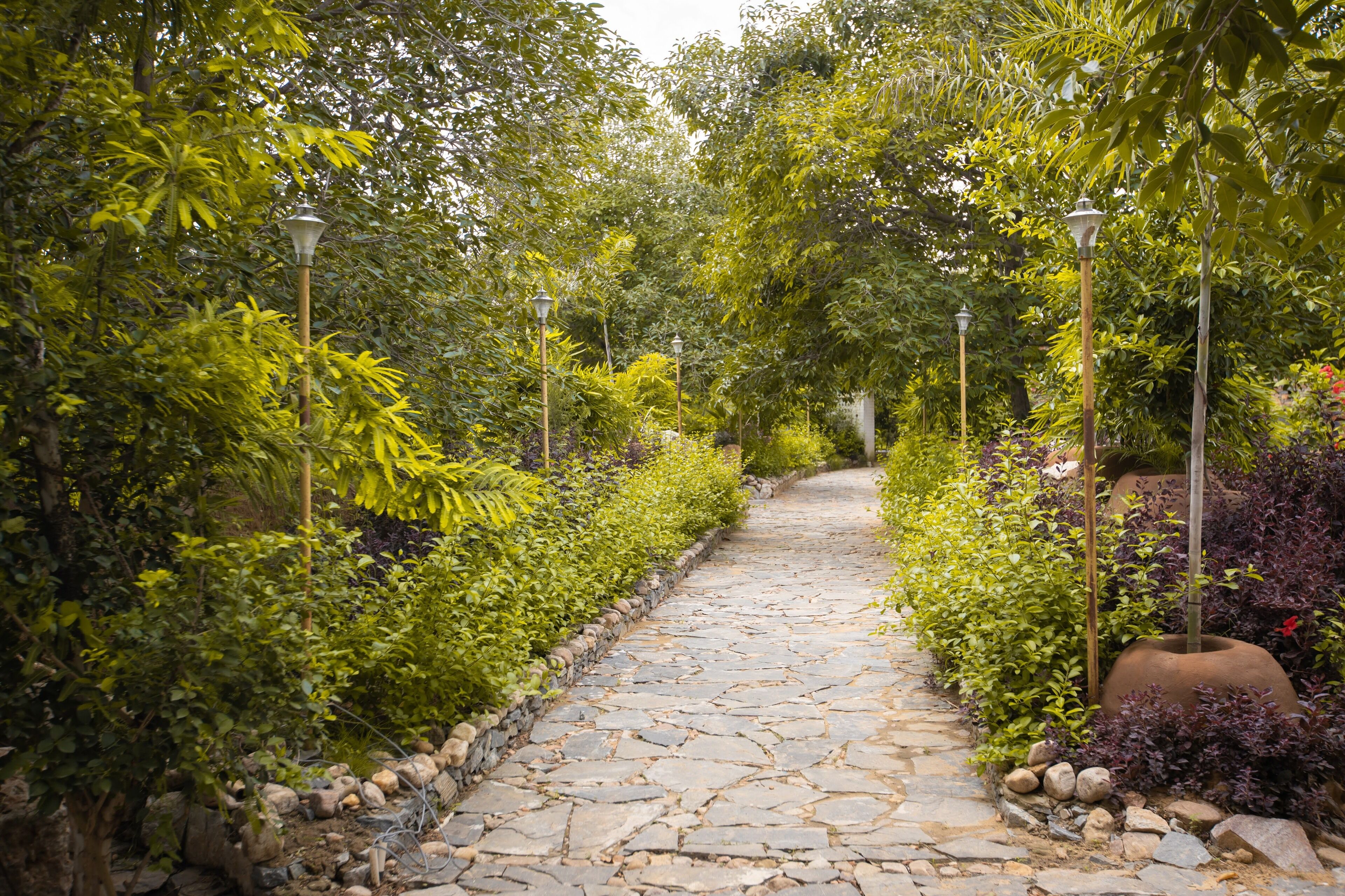 A stone pathway flanked by lush greenery and street lamps.