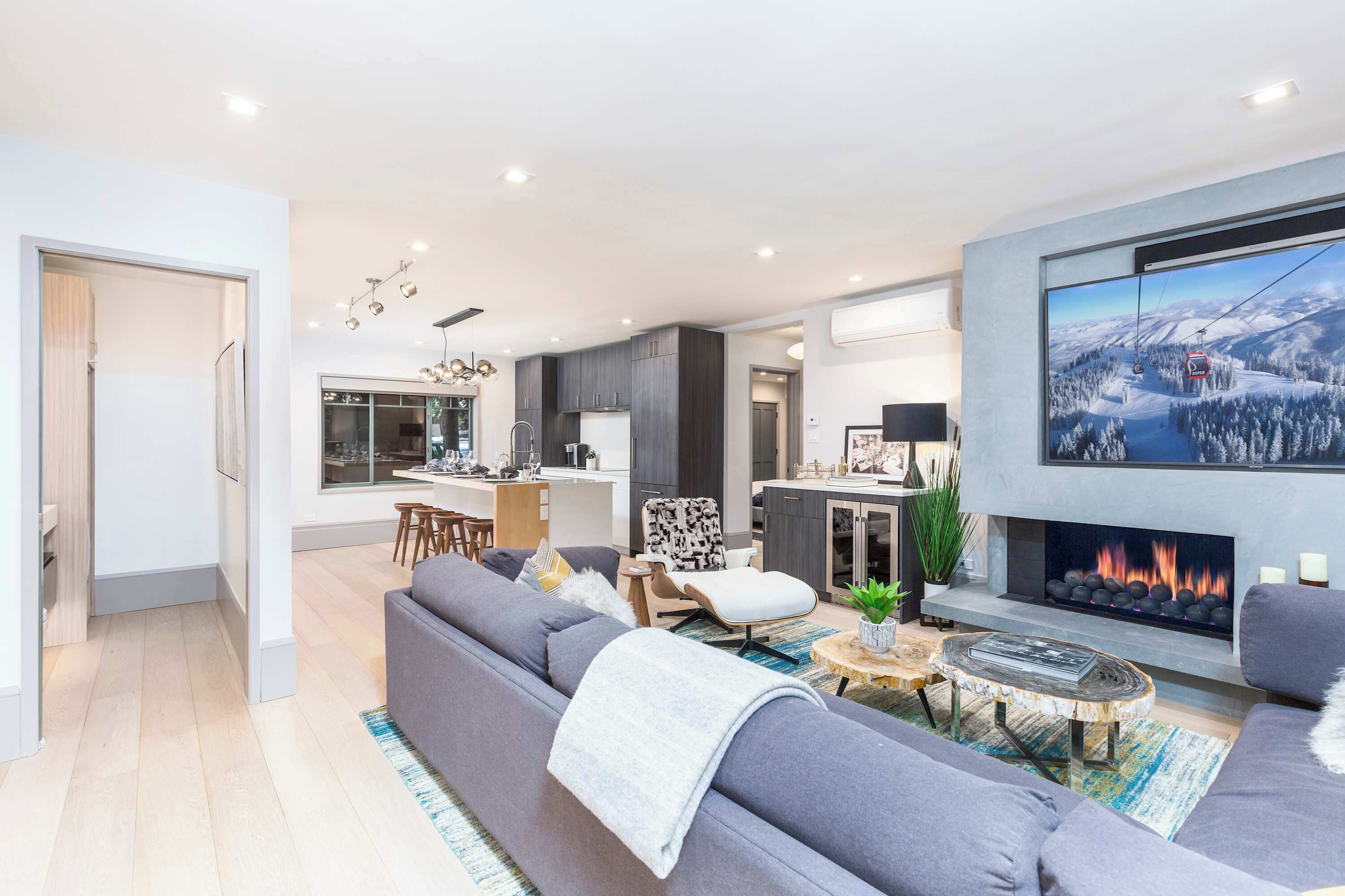 Smart TV, fireplace, books, stereo