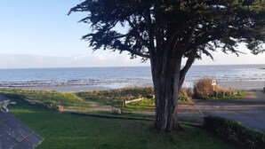 Uitzicht op de kust, met een grote boom op de voorgrond, een zandstrand en de oceaan op de achtergrond.